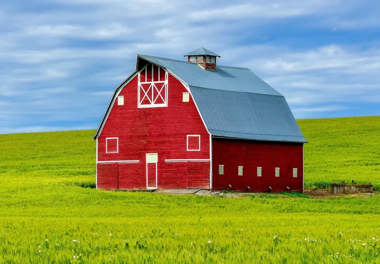 133-Barn-Day-1200x834.jpg