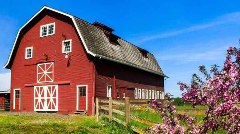 Farm,Barn,House,In,Garden,Scene