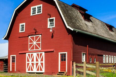 Farm,Barn,House,In,Garden,Scene Farm,Barn,House,In,Garden,Scene